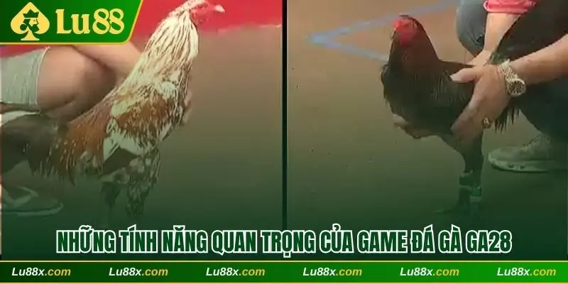 Những tính năng quan trọng của game đá gà GA28 